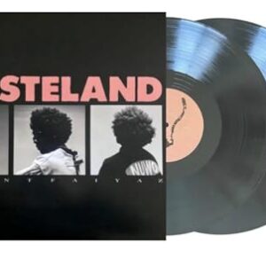Brent Faiyaz WASTELAND 2LP Vinyl Standard Black Edition - Brent Faiyaz (Discos de Vinil)
