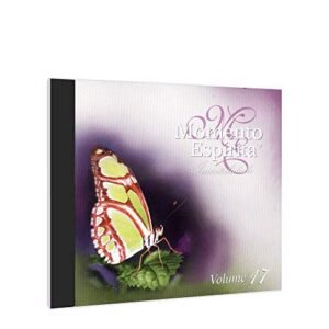 CD. Momento Espírita - Volume 17 - Vários Autores (CDs)