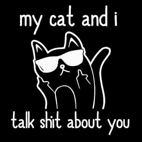 Adesivo de vinil My Cat and I Talk Shit About You Middle Finger Funny MKR |Carros Caminhões Vans Paredes Laptop| Branco | 14 x 12,7 cm | MKR2296 (Discos de Vinil)