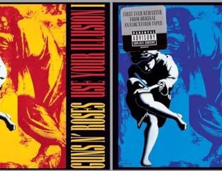 Guns N' Roses: Use Your Illusion I & II 2022 (CD 2-Pack) (CDs)