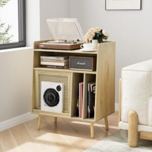 Suporte para toca-discos com armazenamento de discos de vinil, suporte para toca-discos com porta de armário de vime comporta até 200 álbuns, prateleira de armazenamento de vinil para sala de estar (Equipamentos)