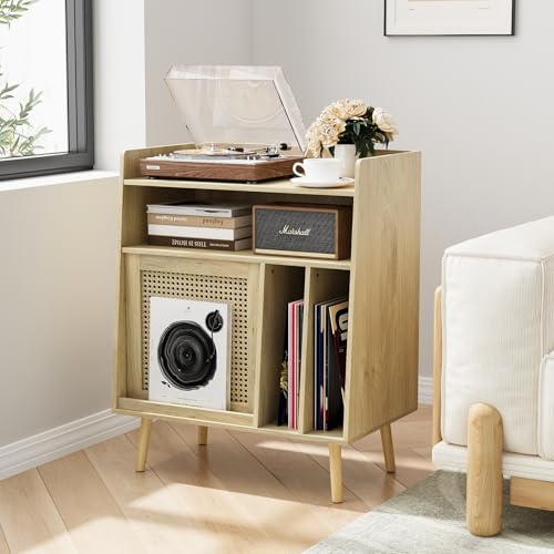 Suporte para toca-discos com armazenamento de discos de vinil, suporte para toca-discos com porta de armário de vime comporta até 200 álbuns, prateleira de armazenamento de vinil para sala de estar (Equipamentos)