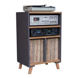 Rack Para Discos de Vinil LPs e Receiver Gama (Equipamentos)