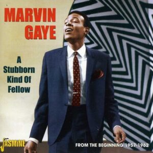 Stubborn Kind of Fellow - Marvin Gaye (CDs)