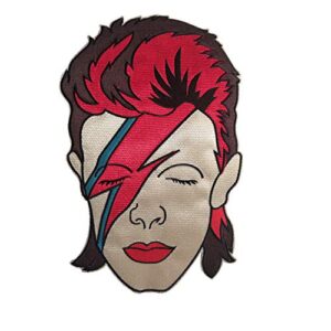 C&D Visionary David Bowie Aladdin Sane Patch traseiro grande (CDs)