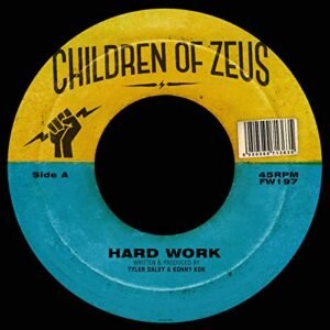 Hard Work [Disco de Vinil] (Discos de Vinil)