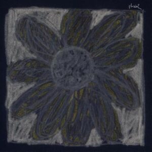 Florist (DEEP PURPLE VINYL) [Vinyl] Florist (Discos de Vinil)