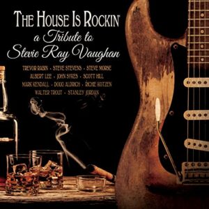 HOUSE IS ROCKIN - A TRIBUTE TO STEVIE RAY VAUGHAN (MIXED colour VINYL) (Discos de Vinil)