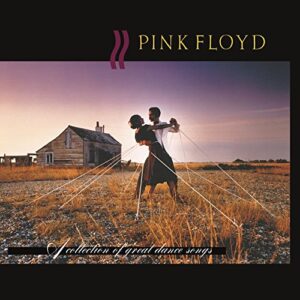 Pink Floyd: A Collection of Great Dance Songs [CD]