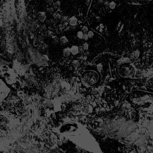 Split - Primitive Man/Unearthly Trance (CDs)