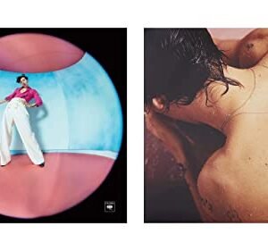 Harry Styles: Complete Vinyl Set (Harry Styles / Fine Line) (Discos de Vinil)