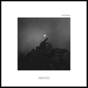 Awooo - Ruen Brothers (CDs)