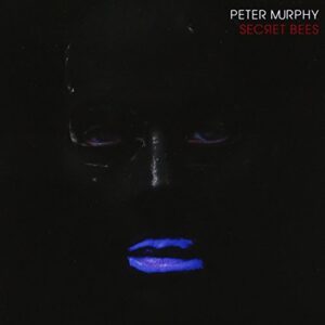 The Secret Bees of Ninth - Peter Murphy (CDs)
