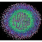 THE WEEKEND WENT WITHOUT YOU - Alizarin Lizard (CDs)