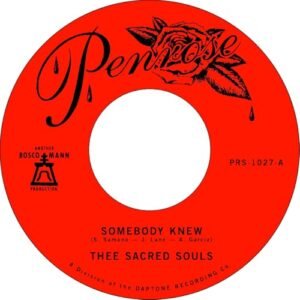Somebody Knew b/w We Don't Have to be Alone - Thee Sacred Souls (Discos de Vinil)