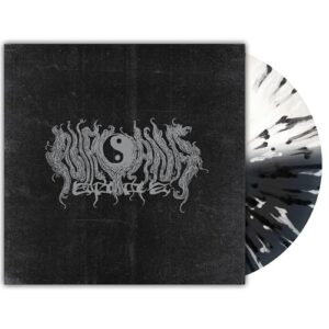 Nirvana 2002 Recordings 89-91 Label Exclusive LP - N2K2 (Discos de Vinil)