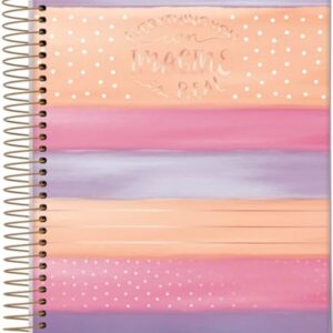 Jandaia - Caderno Espiral Universitário CD 10 Matérias 160 Fls La Creme Listras FSC (CDs)