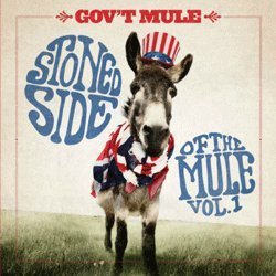 Stoned Side of the Mule 1 [Import USA] - Gov't Mule (Discos de Vinil)