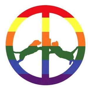 Rainbow Edition - Williams, Harold 'Hype' (CDs)