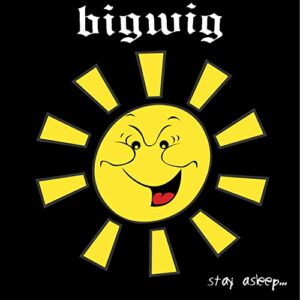 STAY ASLEEP (YELLOW/BLACK SPLATTER VINYL) - Bigwig (CDs)
