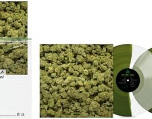 Dr. Dre – 2001 25th Anniversary Clear & Green Split Alternate Artwork Vinyl - Dr Dre (Discos de Vinil)