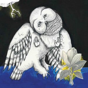 Magnolia Electric Co (CDs)