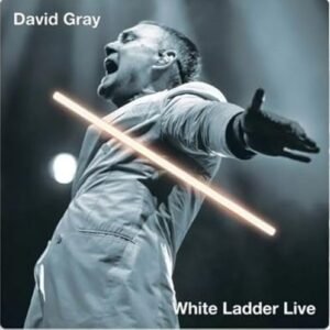 White Ladder Live [VINYL] - David Gray (Discos de Vinil)