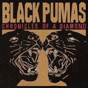 Black Pumas - Chronicles of a Diamond (CDs)