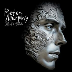 Silver Shade - Murphy, Peter (CDs)