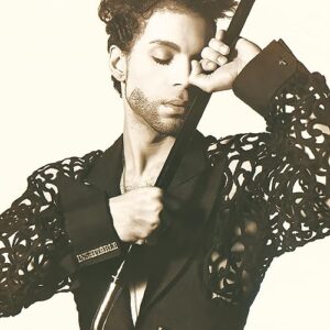 The Hits 1 - Prince (CDs)