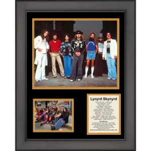 Colagem de fotos musicais emoldurada Lynyrd Skynyrd Discography 30,5 x 38,1 cm (Discos de Vinil)