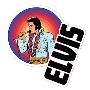 Desert Cactus Adesivo Elvis Presley decalque de vinil para laptop garrafa de água livro de recortes de carro (4 polegadas) (versão 2) (Discos de Vinil)