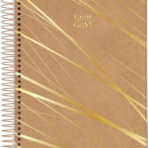 Jandaia - Caderno Espiral Universitário CD 10 Matérias 160 Fls Kraft Gold Linhas Retas FSC (CDs)