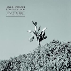 Down To The Bone (Tribute To Depeche Mode) - Chauveau, Sylvain & Ensemble Nocturne (CDs)