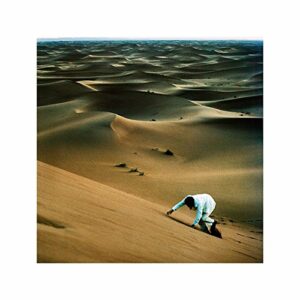 Prince Of Tears [Disco de Vinil] (Discos de Vinil)