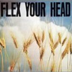 Flex Your Head - The Teen Idles (CDs)