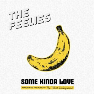 Some Kinda Love: Performing The Music Of The Velvet Underground - The Feelies (Discos de Vinil)