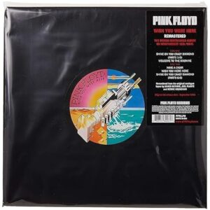 Pink Floyd - Wish You Were Here (Discos de Vinil)