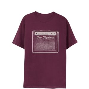 Foo Fighters Camiseta unissex oficial Merch Amp, Marrom, G (CDs)