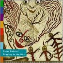 Digging in the Dirt - Gabriel, Peter (CDs)