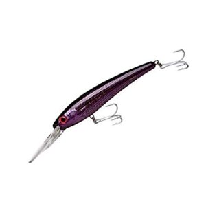 Bomber CD de grau de água salgada (profundidade certificada) - Crush roxo - 20 cm (CDs)