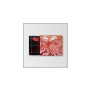 DPR LIVE Hong Dabin senseS EP Album Case+Sleeve+CD+Tracking Kpop Sealed (CDs)