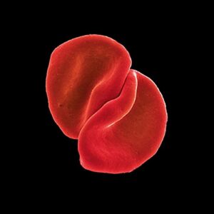 Scratch My Back - Peter Gabriel (CDs)