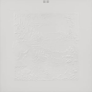 Bon Iver (10th Anniversary Edition) (CDs)