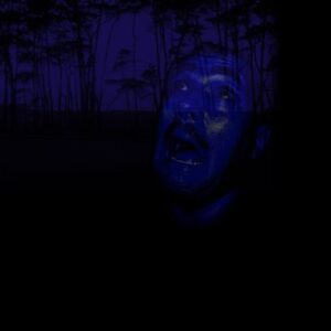 Night Fall: Dark Side of the Mind - Ferguson, Max (CDs)