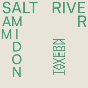 Salt River - Amidon, Sam (CDs)