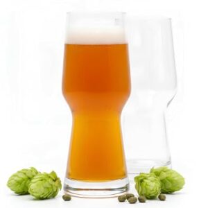 Burns Glass Copo de cerveja especial IPA 411 g (conjunto de dois) (Cervejas)