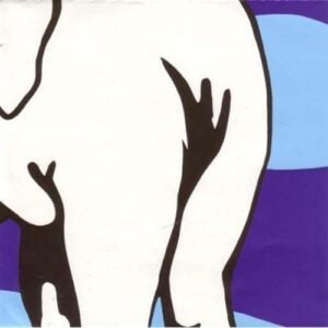 Live at Jittery Joe's - Jeff Magnum (CDs)