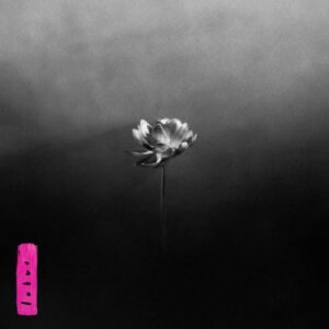 Lotus [解説書 / 歌詞対訳付 / 国内盤CD] (BRC763) - Little Simz (CDs)