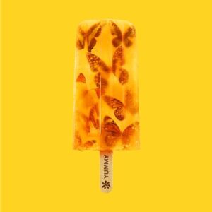 Yummy - James (CDs)